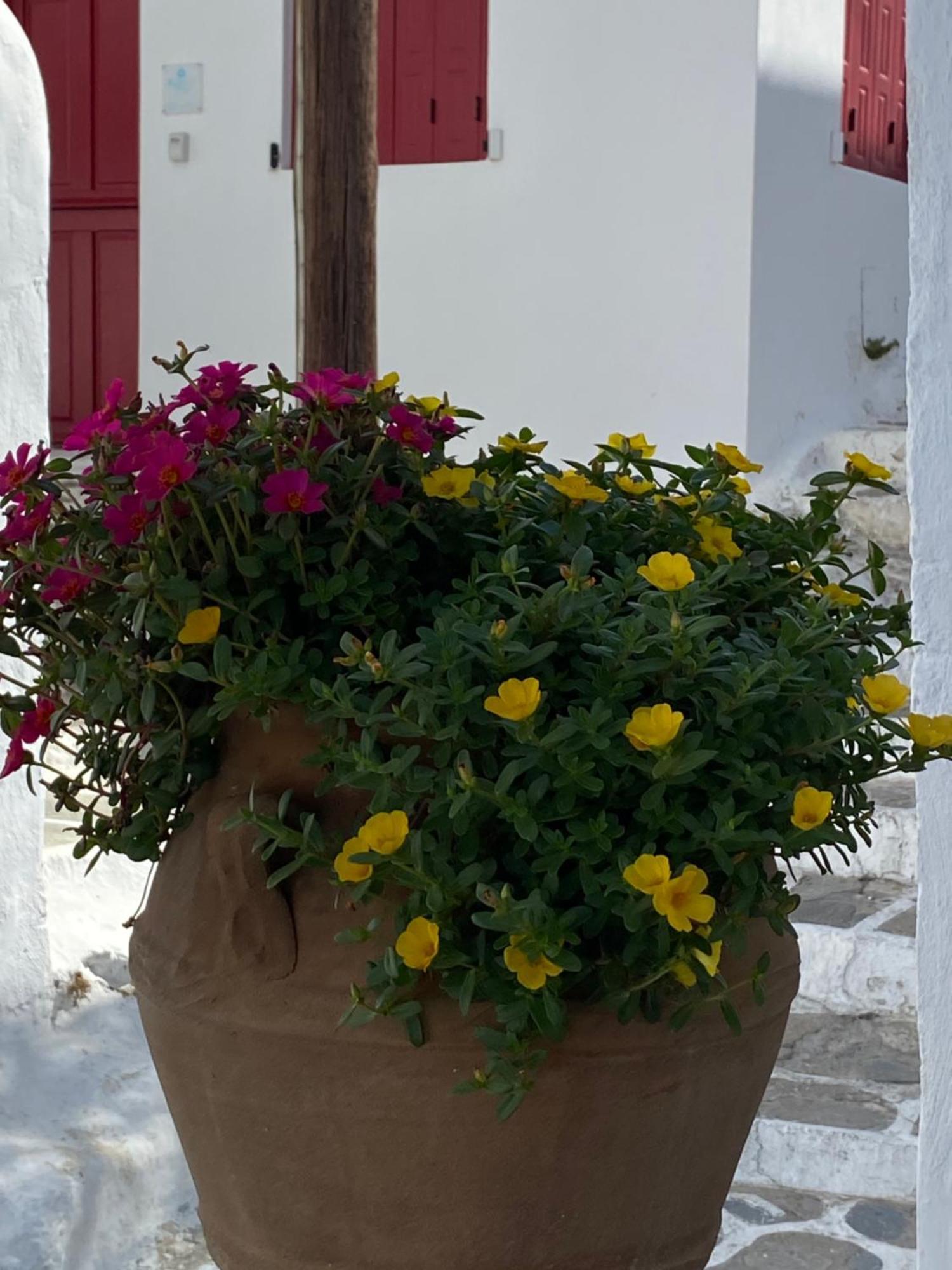 Hotel Pensione Della Nonna Mykonos Town Esterno foto